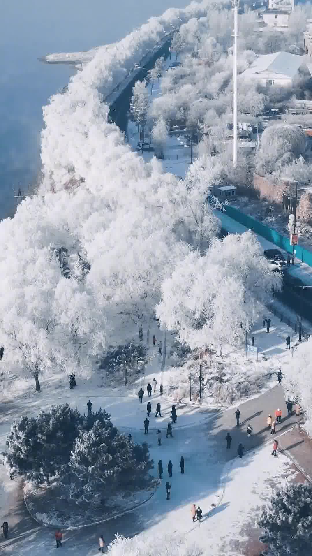 吉林赋,吉林之美,尽收眼底