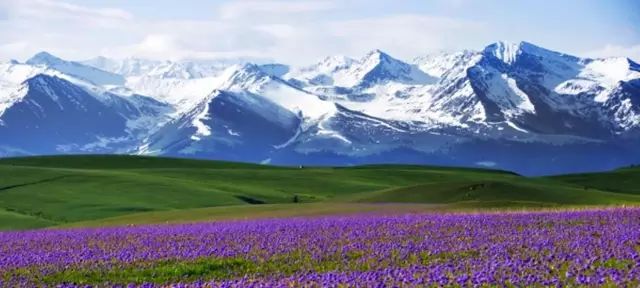 大美新疆，深情演绎